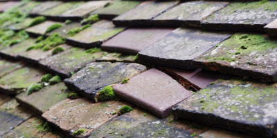 Yielden roof repair costs